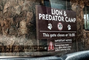 Johannesburg: Halvdagstur till noshörnings- och lejonreservatet