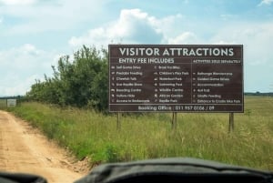 Johannesburg: Halvdagstur till noshörnings- och lejonreservatet