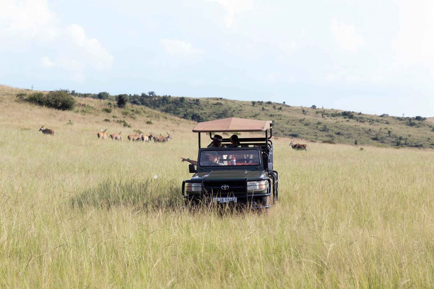 Johannesburg: Rhino and Lion Nature Reserve Safari