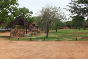 Johannesburg: Safari i neshorn- og løvenaturreservatet