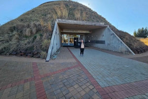 Johannesburg: Safari i næsehorns- og løveparken og Maropeng Museum
