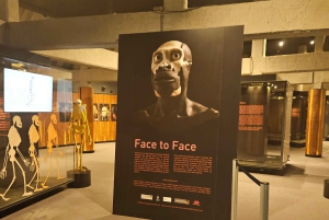 Johannesburg: Safari i næsehorns- og løveparken og Maropeng Museum