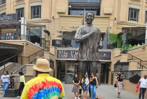 Johannesburg: Safari i næsehorns- og løveparken og Maropeng Museum