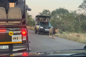 Johannesburg Safari dagstur - Pilanesberg Big 5 äventyr