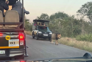 Dagsutflukt med safari i Johannesburg - Pilanesberg Big 5 Adventure