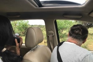 Johannesburg Safari dagstur - Pilanesberg Big 5 äventyr