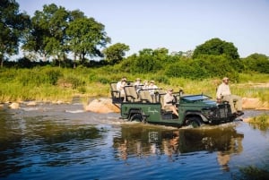 Jednodniowa wycieczka na safari w Johannesburgu - Pilanesberg Big 5 Adventure