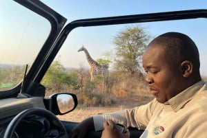 Johannesburg Safari Tagestour - Pilanesberg Big 5 Abenteuer