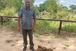 Johannesburg Safari Tagestour - Pilanesberg Big 5 Abenteuer