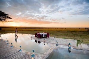 Johannesburg Safari Tagestour - Pilanesberg Big 5 Abenteuer