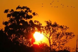 ヨハネスブルグ：ソウェトとアパルトヘイト博物館ツアー
