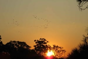 ヨハネスブルグ：ソウェトとアパルトヘイト博物館ツアー