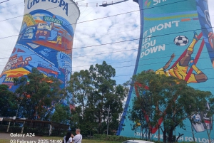 Johannesburg: Soweto półdniowa wycieczka prywatna