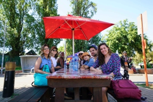 Johannesburg: Tour zu den Highlights von Soweto und zum Apartheid Museum