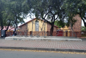 Johannesburg: Soweto Historical Tour with tuk tuk