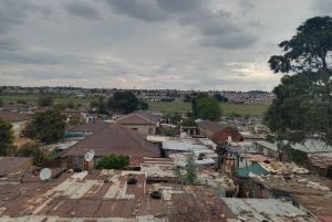Johannesburg: Soweto Historical Tour with tuk tuk