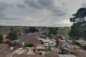 Johannesburgo: Visita histórica a Soweto con almuerzo africano