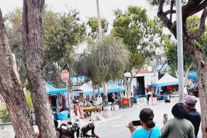 Johannesburg: Soweto Township ja apartheid-museo, yksityiskierros