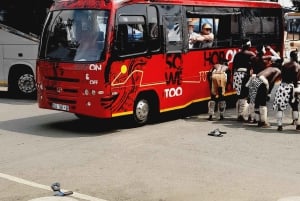 Johannesburg: Soweto Township ja apartheid-museo, yksityiskierros