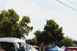 Johannesburg: Soweto Township ja apartheid-museo, yksityiskierros