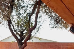 Johannesburg: Soweto Township ja apartheid-museo, yksityiskierros