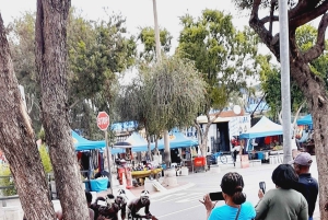 Johannesburg: Soweto Township ja apartheid-museo, yksityiskierros