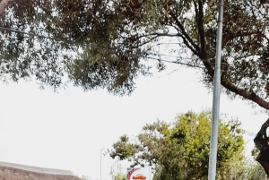 Johannesburg: Soweto Township ja apartheid-museo, yksityiskierros