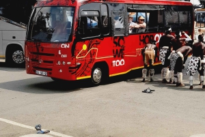 Johannesburg: Soweto Township ja apartheid-museo, yksityiskierros