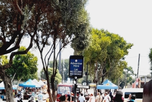 Johannesburg: Soweto Township ja apartheid-museo, yksityiskierros