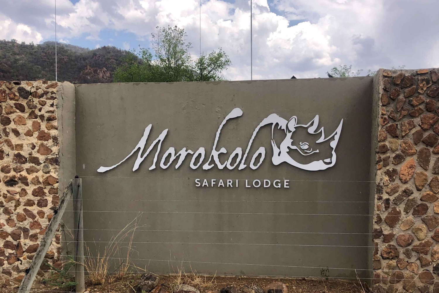 Johannesburg: Sun City & Pilanesberg National Park Tagestour