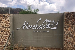 Johannesburg: Sun City & Pilanesberg National Park Day Trip