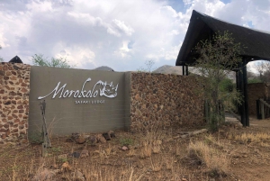 Johannesburg: Sun City & Pilanesberg National Park Day Trip
