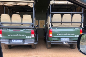 Johannesburg: Sun City & Pilanesberg National Park Tagestour