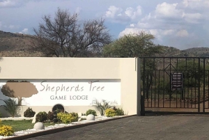 Johannesburg: Sun City & Pilanesberg National Park Tagestour