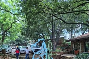 Johannesburg: Escursione nella riserva naturale The Wilds