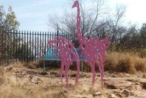 Johannesburg: Escursione nella riserva naturale The Wilds