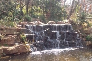 Johannesburg: Escursione nella riserva naturale The Wilds