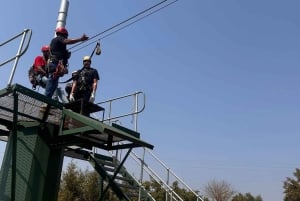 ヨハネスブルグ：ジップラインと人類発祥の地ツアーをご案内いたします