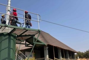 ヨハネスブルグ：ジップラインと人類発祥の地ツアーをご案内いたします