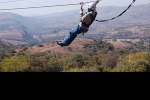 ヨハネスブルグ：ジップラインと人類発祥の地ツアーをご案内いたします