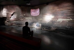 ヨハネスブルグ：ジップラインと人類発祥の地ツアーをご案内いたします