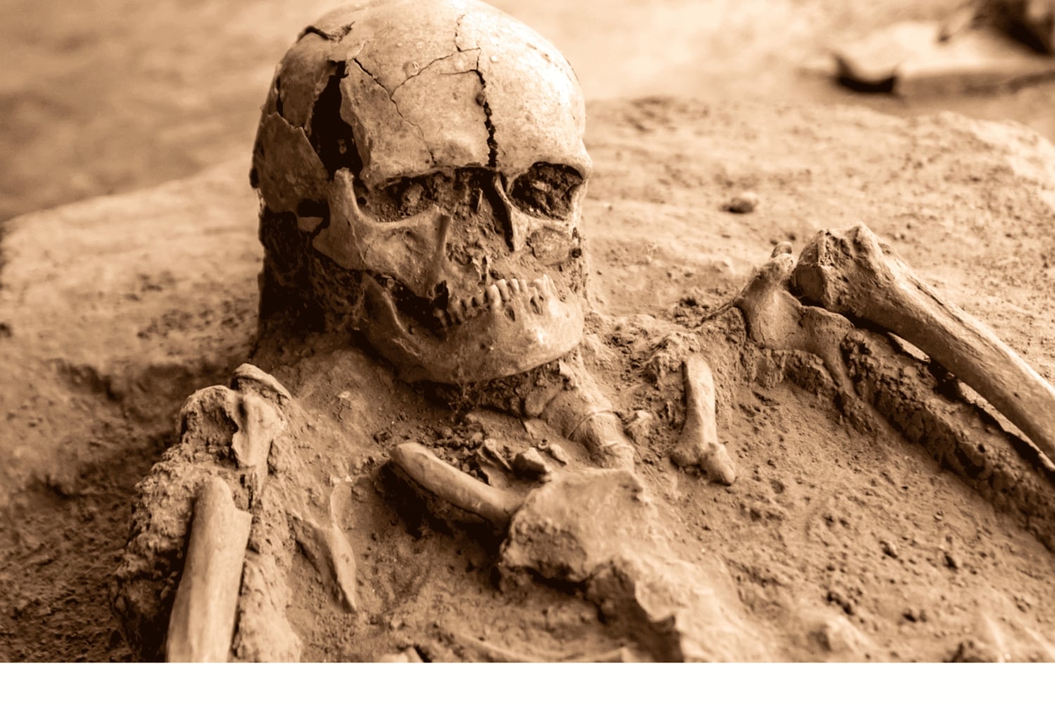 Journey to the Cradle of Humankind