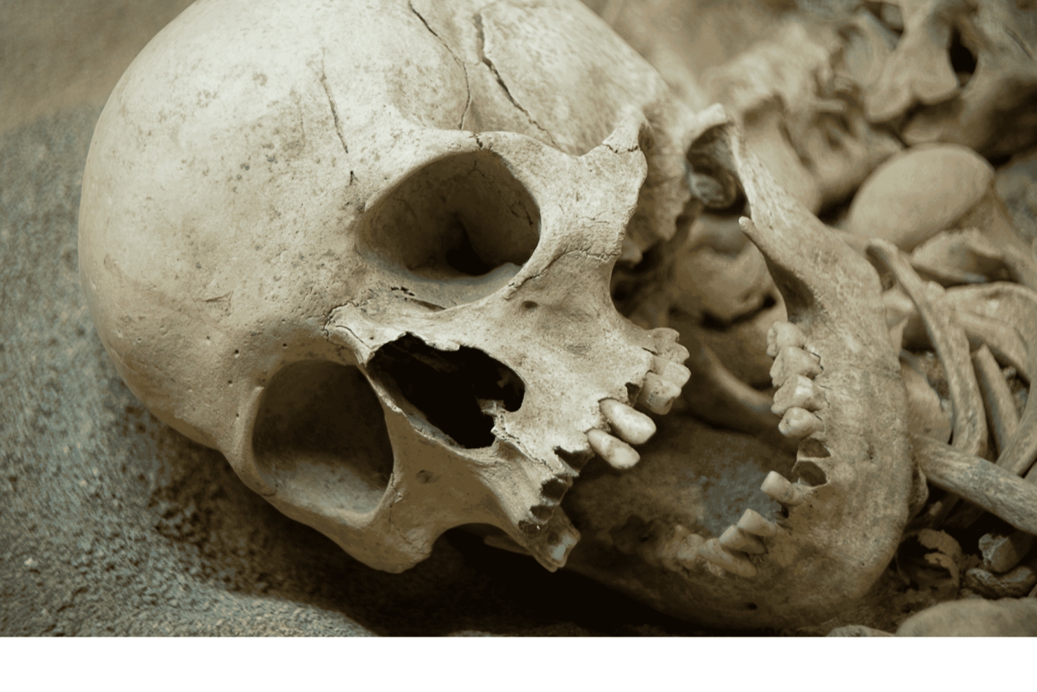 Journey to the Cradle of Humankind