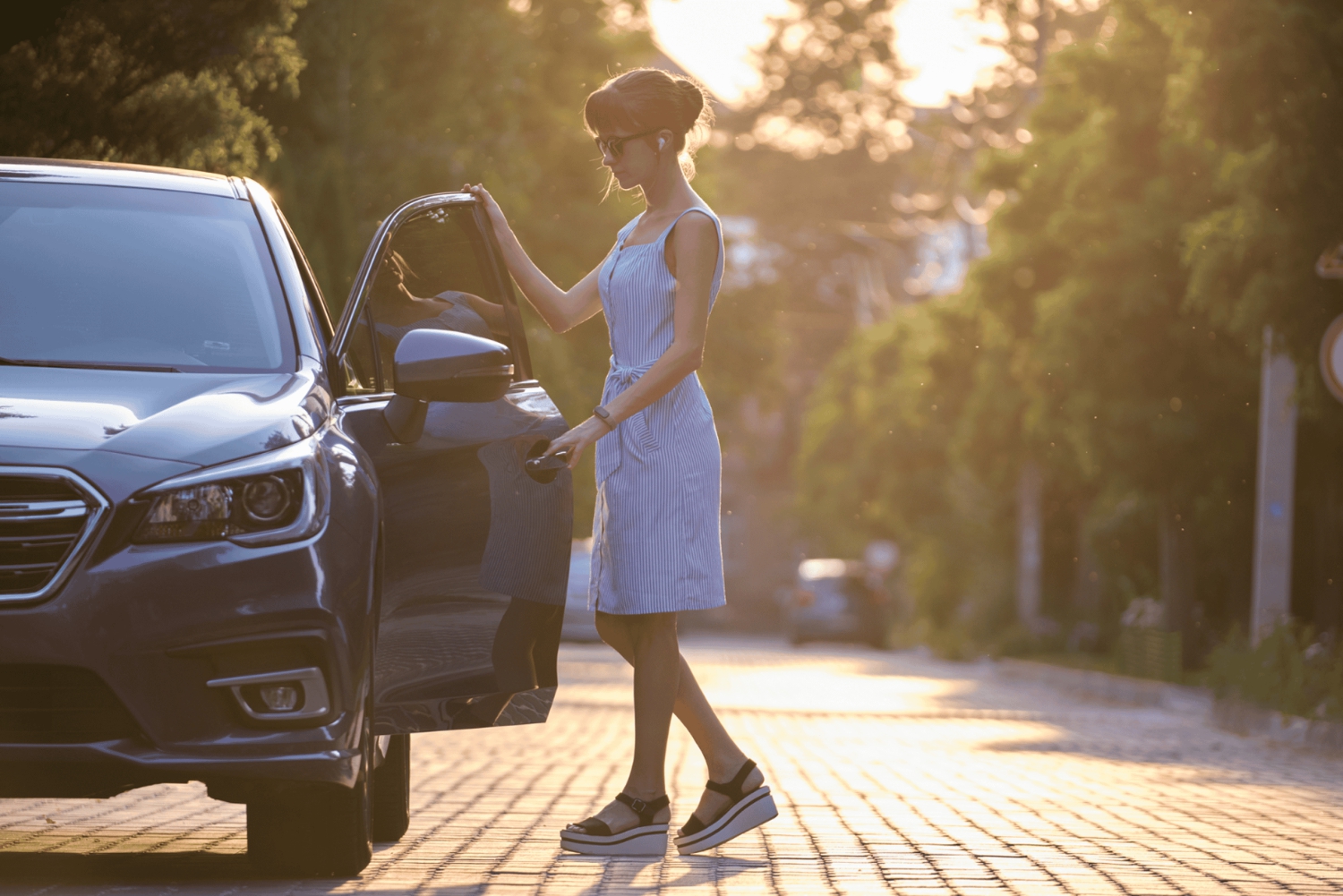 Journey to the Cradle of Humankind