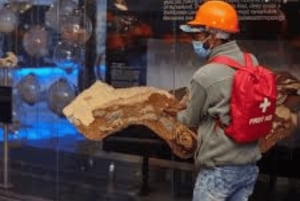 Journey to the Cradle of Humankind