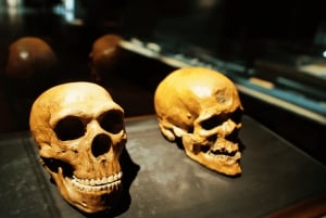 Journey to the Cradle of Humankind