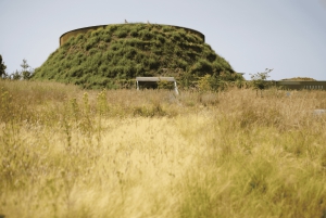 Journey to the Cradle of Humankind