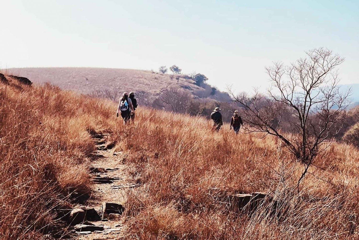 Klipriviersberg Nature Reserve 10km Hike