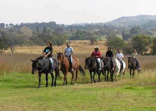 Klipriviersberg Nature Reserve