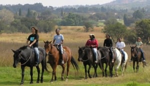 Klipriviersberg Nature Reserve
